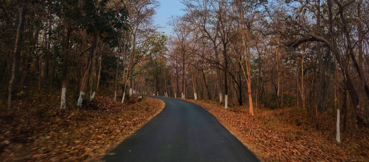 Ma, I am Paroma – Paroma&nbsp;Sengupta